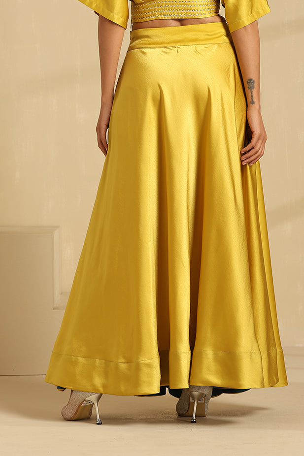 Ballon Top And Lehenga Set-Mustured Yellow